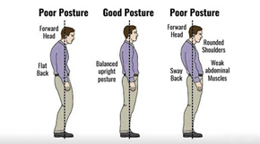 Eden Prairie Chiropractor's 11 Benefits of Good Posture, The Well  Chiropractic